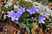 Alle spettacolari Sorgenti dell’Enna da Vedeseta di Val Taleggio l’8 aprile 2019- FOTOGALLERY